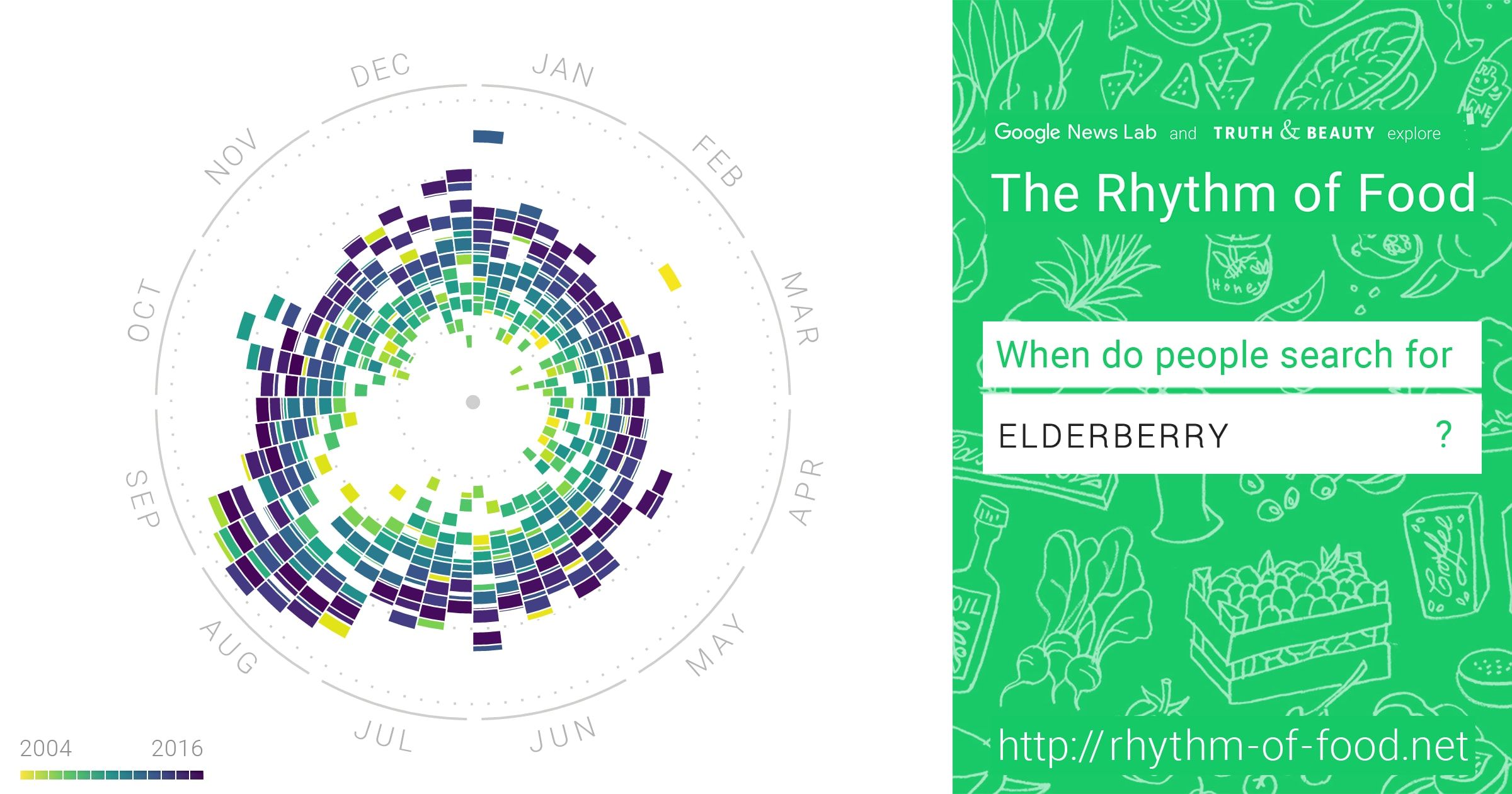 Radial year-clock chart of elderberry searches beside a shareable social card for the Rhythm of Food site