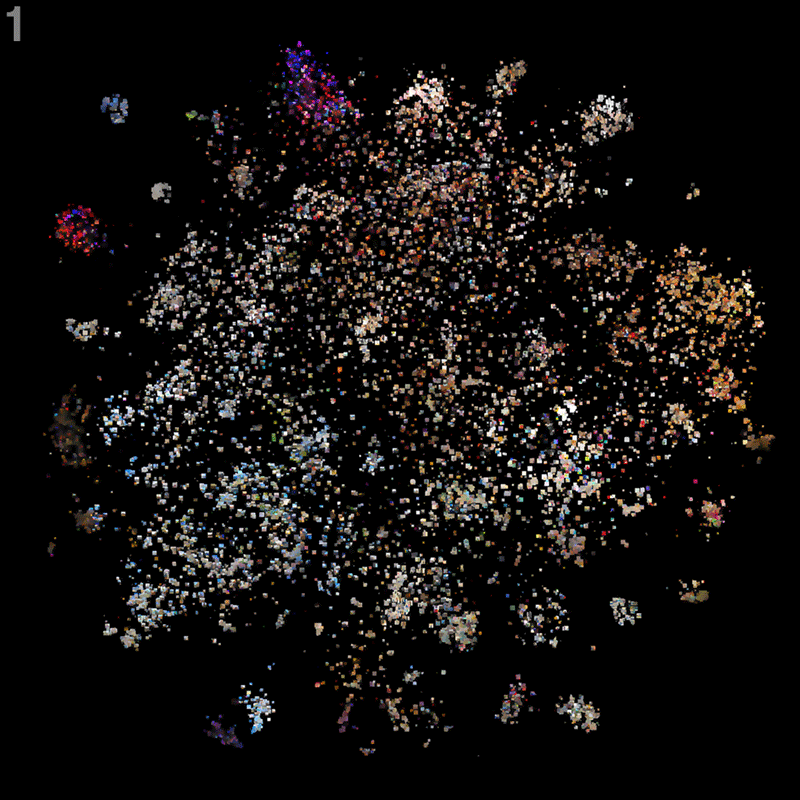 Animation cycling through the four layout stages, from the scattered tsne photo cloud to a filled grid